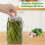 TranRantic 4 Pack Fermentation Weights, 7cm Glass Fermenting Weights for Wide Mouth Fermentation Jar 5