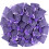 Lavender Sachets French Scent 25 Pack 1