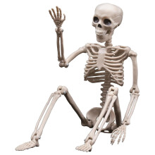 16 Inch Poseable Hanging Skeleton Decoration