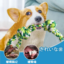 ERHAOG Dog Toy Indestructible 2 Pieces 55 cm Dog Toy Rope Tug Toy with Knot Made of Cotton Dog Chew Toy Dog for Large and Medium Dogs