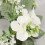 2 anelli portacandele con ortensie ed eucalipto – 25 cm, stile rustico 4