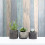 Coloroll M1062 Wallpaper, Blue 4