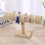 Pedty Storage Case with Velvet T-Bar Display Stand 3