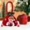 Christmas Velvet Gift Bag 22x20cm Red Drawstring 4