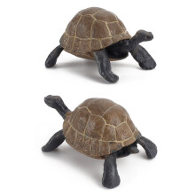 Tortoise Figurine Toy – Educational Animal Model for Kids