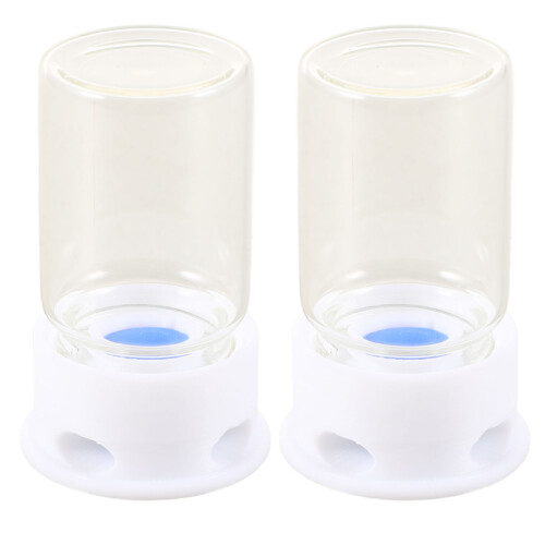2Pièces Fourmis Transparent Accessoire