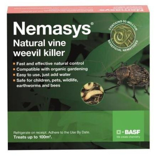 Nemasys Vine Weevil Killer 100sqm 1