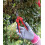 Spear & Jackson Spear & Jackson 4951PS Razorsharp Precision Snips 2
