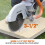 Evolution Power Tools D230SEG-CS 230 mm Diamond Blade For Disc Cutters - Segmented Edge For Cutting Masonry, Such as Brick 5