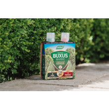 Westland Buxus Feed & Protect Concentrates 2 in 1 (2 x 500 ml), Green