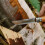 Opinel Opinel Lock Knife Carbon No.7 - Beech Wood Handle 5