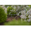 Gardena Gardena Micro-Drip-System Inline Drip Head 2 l/h, pressure-equalising: Endline drip heads for single plants with different pot hei 5