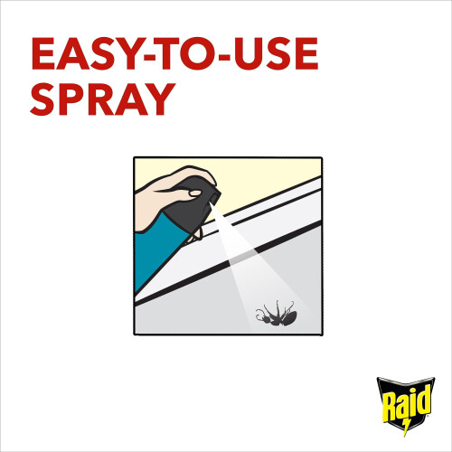 Raid Fly & Wasp Killer 300ml/6 UK. 2