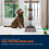 Vax Vax Dual Power Carpet Cleaner Machine 5