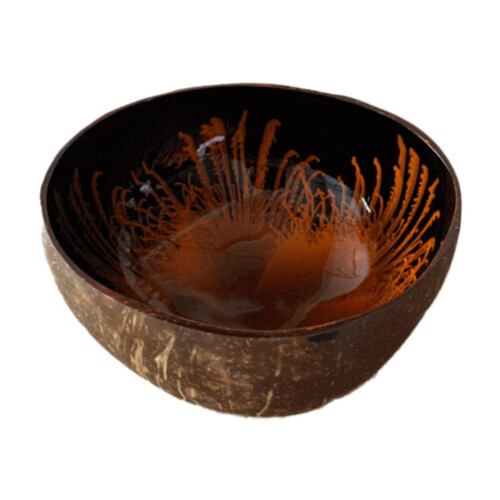 Coconut Shell Bowl Orange – Decorative Storage Bowl