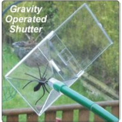 Spider Catcher - 2 Stick handle version 2