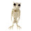 Cat Skeleton Decoration Plastic Poseable Halloween Figurine 1
