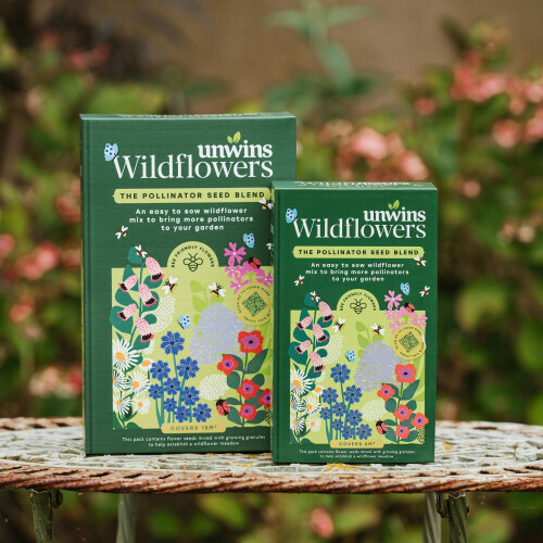 Unwins Unwins Easy Wildflower 1.2kg Box, Brown 2