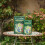 Unwins Unwins Easy Wildflower 1.2kg Box 2