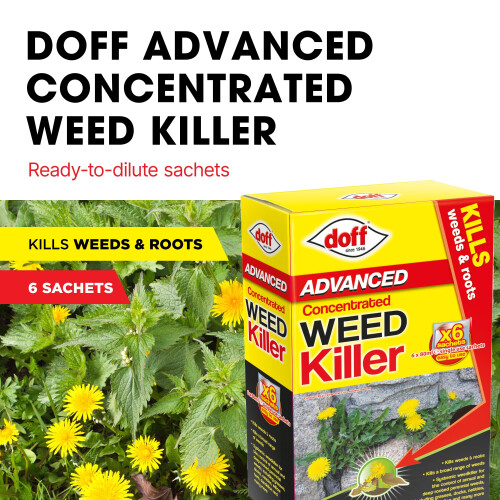 Doff Doff Super Strength Weedkiller Sachets 6pk, multi colour 1