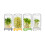 Food Grade Plastic Mason Jar Sprout Growing Set Includes-White 5