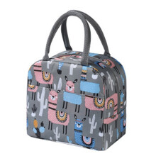 Sac à lunch isotherme à motif dessin animé, format bento portable, 22,4 x 13 x 20,6 cm
