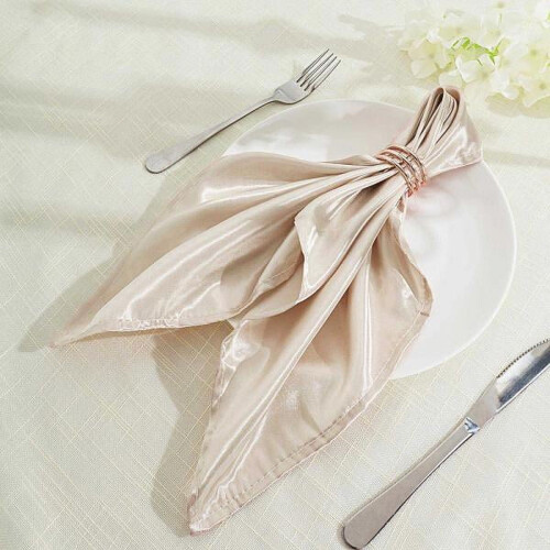 BalsaCircle Satin Dinner Napkins 20" 50 Pack