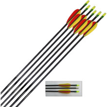 (Pack of 20) Petron Archery Target Arrows Fibreglass 28 inch - round ends