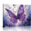Butterfly Wall Art Canvas Print – Gallery Wrapped, Ready 1