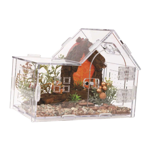 Terrarium respirable de conception transparente de cage-B