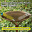 Plastic Friendly Flying Animal Watering Tool Boosts Yard-White 5