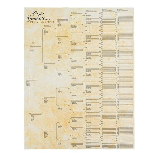 Poster Arbore Genealogic - Design Retro, 55,9x43,2cm