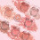 Collection Collection Cosmetics Soft Glow Blusher, Blusher Powder, 4g, Rose 4