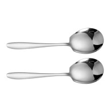 Stainless Steel Serving Spoon 2 Pack