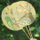 Decorative Bamboos Craft Fan With Long Handle And- Waking 7