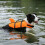 Comfortable Dog Swimming Gear With Increased observability-L S 6