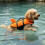 Comfortable Dog Swimming Gear With Increased observability-L S 7