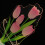 Επιτραπέζιο φωτιστικό Tulip Flower – Ζεστό Λευκό, Ακρυλικό, 20x13x4.8 4