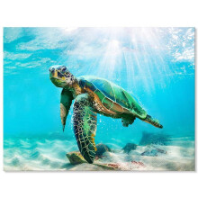 Quadro decorativo de tartaruga marinha em tela, 90x60cm