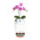 Ensemble de pots en plastique à deux couches pour fleurs, doté-S 1