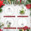 50pcs 6cm Clear Fillable Plastic Ornament Balls 3