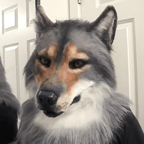 Werewolf Head Mask for Halloween Costume 1