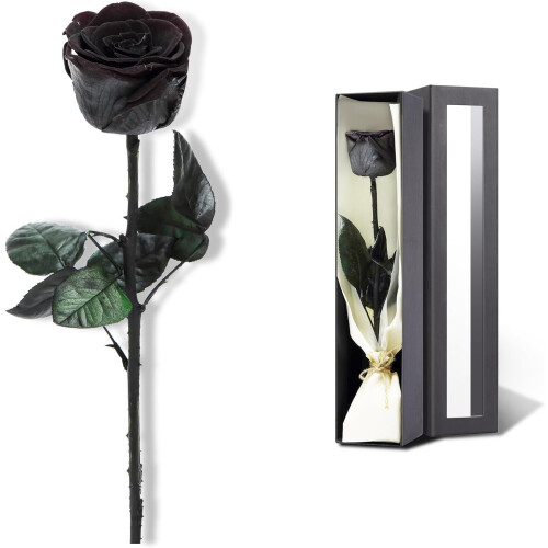 Rose noire stabilisée pour elle – Véritable fleur longue durée