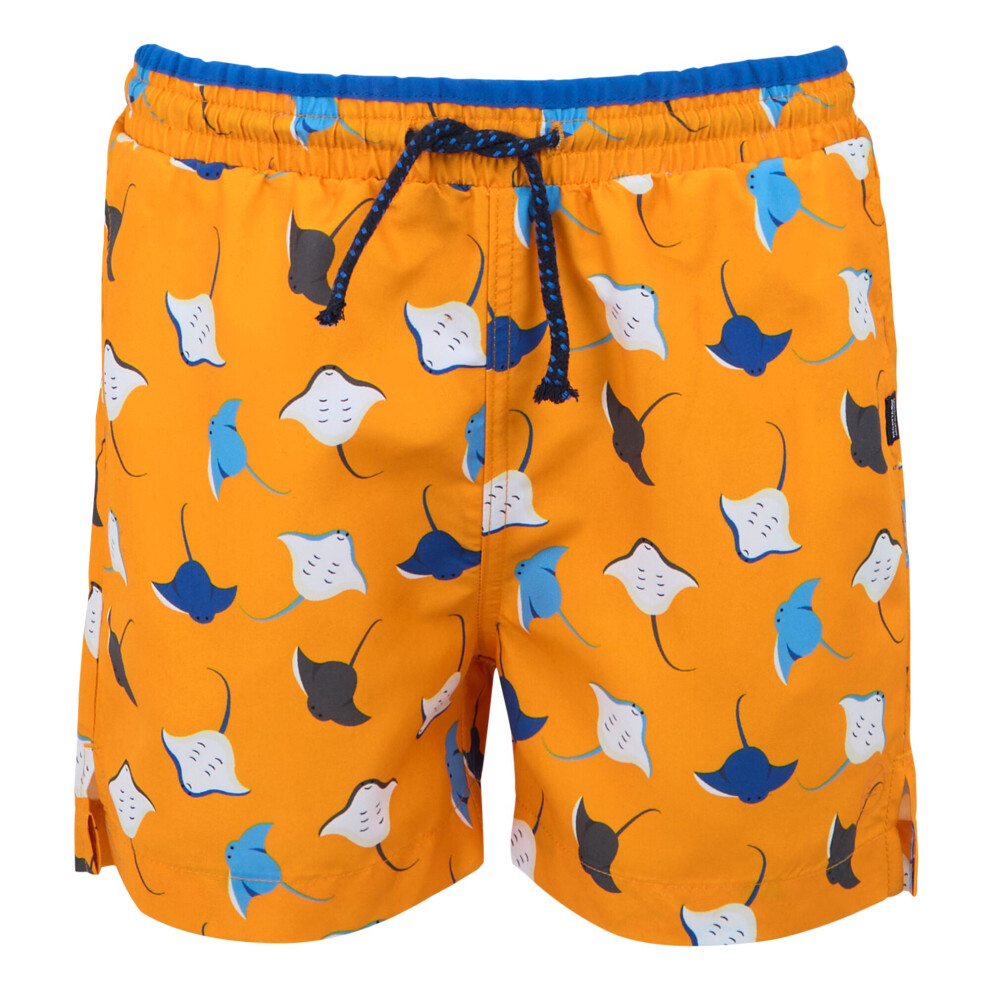 Regatta Boys Skander Iii Stingray Swimming Trunks Multicoloured