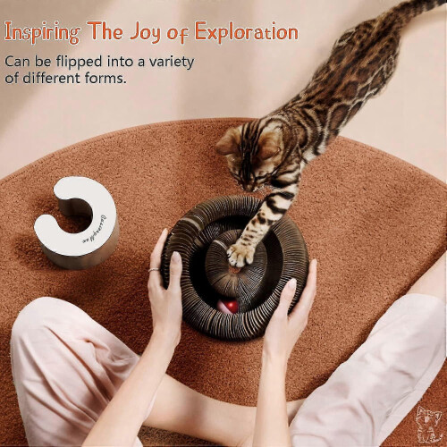Interactive Cat Scratcher Toy - The Ultimate Interactive Mental and Physical Exercise 2
