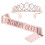 Birthday Queen Sash in Soft Satin 1