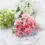 Bláthanna Saorga Hydrangea Síoda Bándearg OUNONA 1
