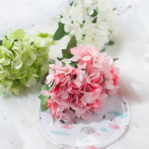 Bláthanna Saorga Hydrangea Síoda Bándearg OUNONA