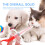 6Pcs Soft Tip Plastic Pet Pill Feeder Precise Dose Syringe for Pets 6