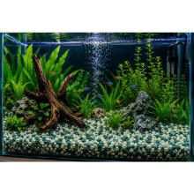 Decoratief groenblauw grind voor aquarium 900 g